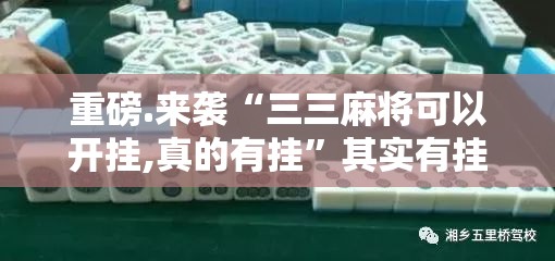 重磅.来袭“三三麻将可以开挂,真的有挂”其实有挂-知乎