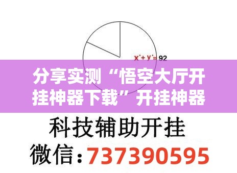 分享实测“悟空大厅开挂神器下载”开挂神器