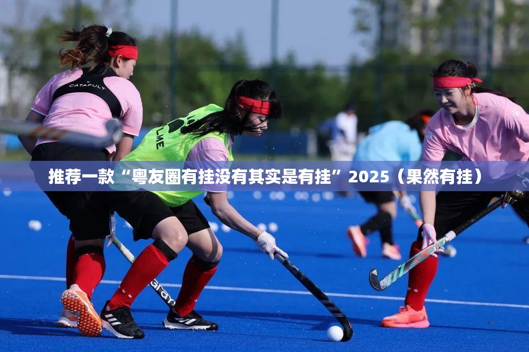 推荐一款“粤友圈有挂没有其实是有挂”2025（果然有挂）