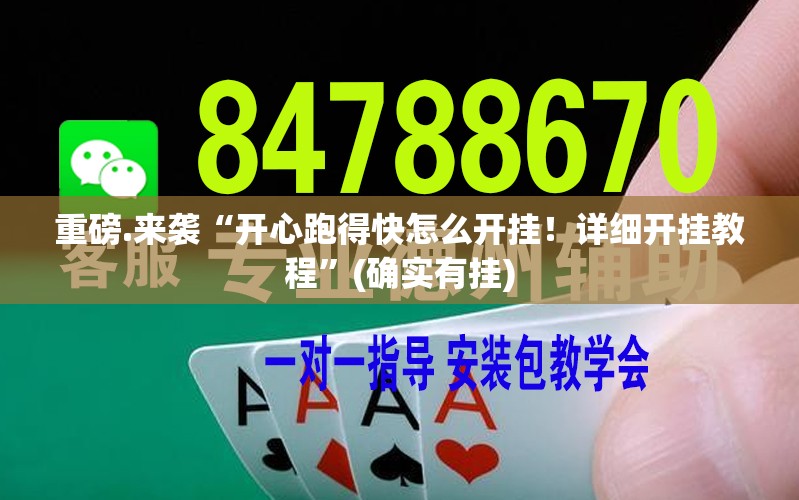 推荐一款人海的确有挂确实有挂(其实真的能开挂)