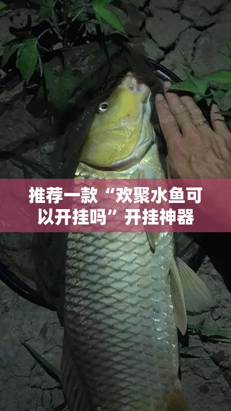 推荐一款“欢聚水鱼可以开挂吗”开挂神器