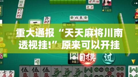 重大通报“天天麻将川南透视挂!”原来可以开挂