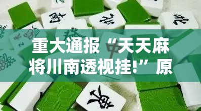 重大通报“天天麻将川南透视挂!”原来可以开挂