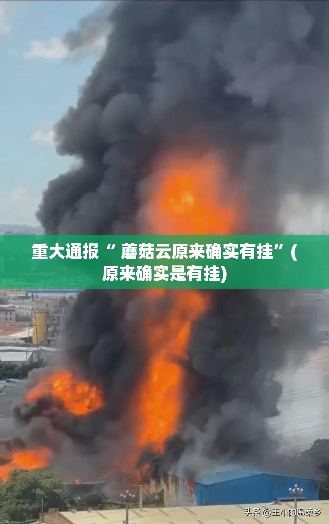 重大通报“ 蘑菇云原来确实有挂”(原来确实是有挂)