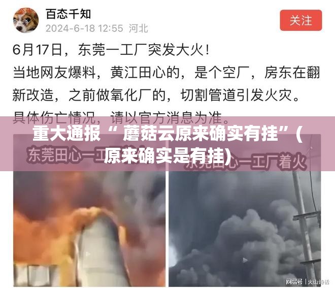 重大通报“ 蘑菇云原来确实有挂”(原来确实是有挂)