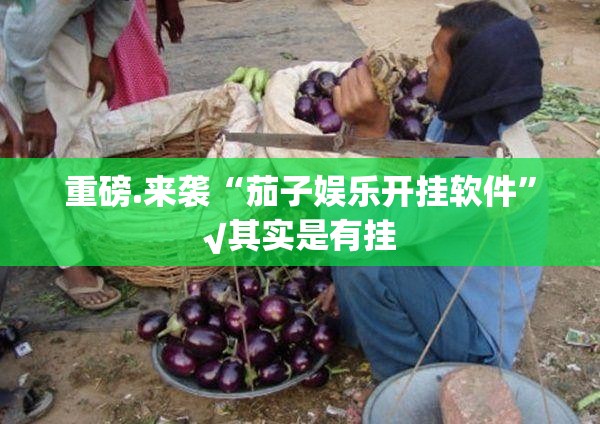 重磅.来袭“茄子娱乐开挂软件”√其实是有挂