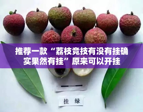 推荐一款“荔枝竞技有没有挂确实果然有挂”原来可以开挂