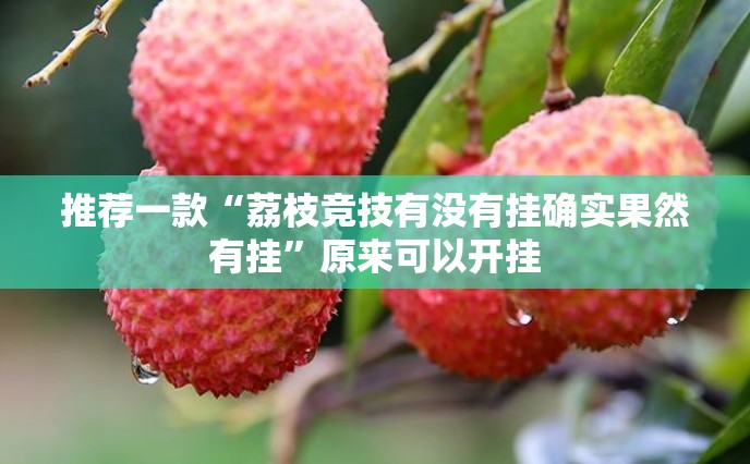 推荐一款“荔枝竞技有没有挂确实果然有挂”原来可以开挂