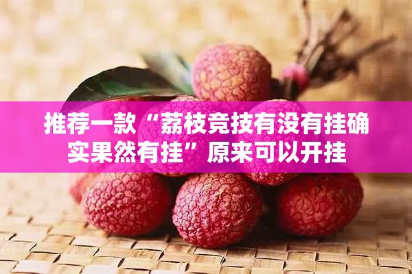 推荐一款“荔枝竞技有没有挂确实果然有挂”原来可以开挂