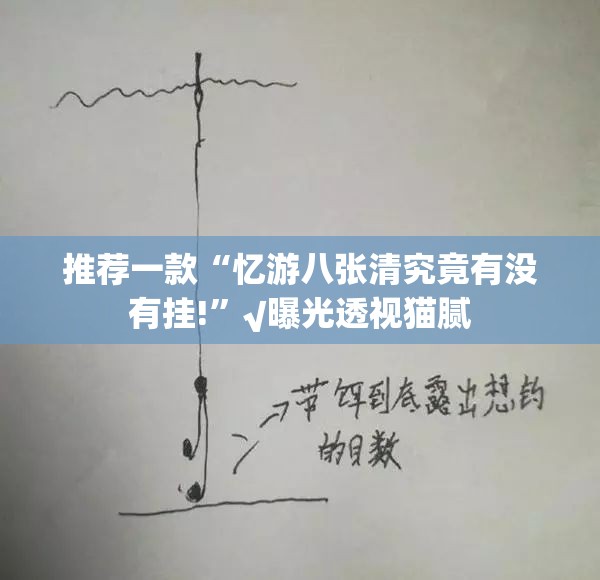 推荐一款“忆游八张清究竟有没有挂!”√曝光透视猫腻