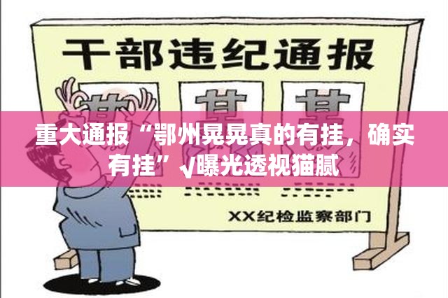 重大通报“鄂州晃晃真的有挂，确实有挂”√曝光透视猫腻