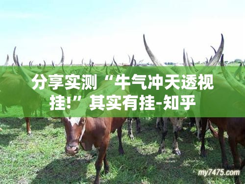 分享实测“牛气冲天透视挂!”其实有挂-知乎