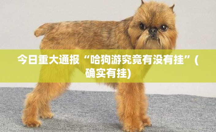 今日重大通报“哈狗游究竟有没有挂”(确实有挂)