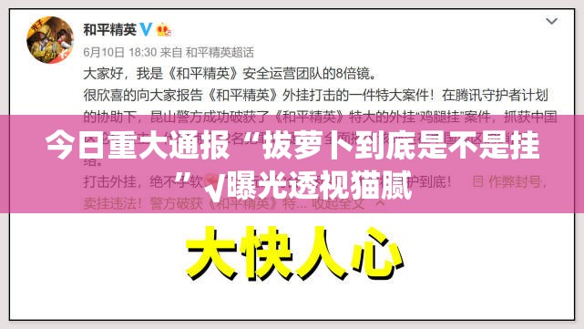 今日重大通报“拔萝卜到底是不是挂”√曝光透视猫腻