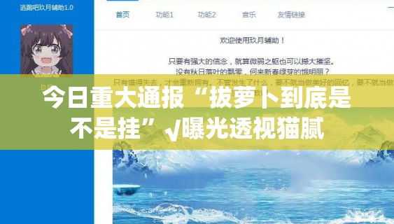 今日重大通报“拔萝卜到底是不是挂”√曝光透视猫腻