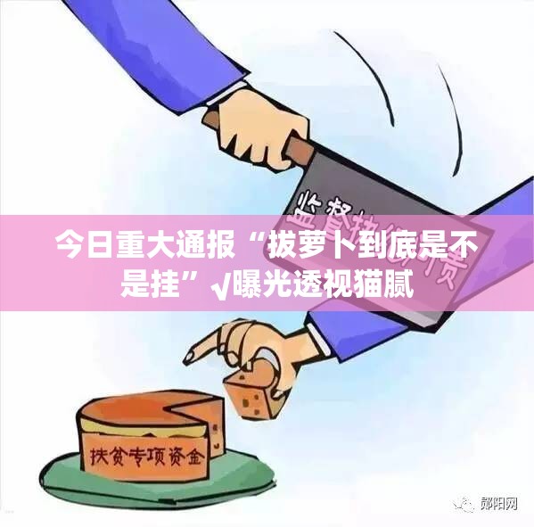 今日重大通报“拔萝卜到底是不是挂”√曝光透视猫腻
