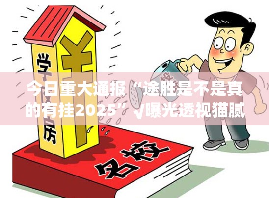 今日重大通报“途胜是不是真的有挂2025”√曝光透视猫腻