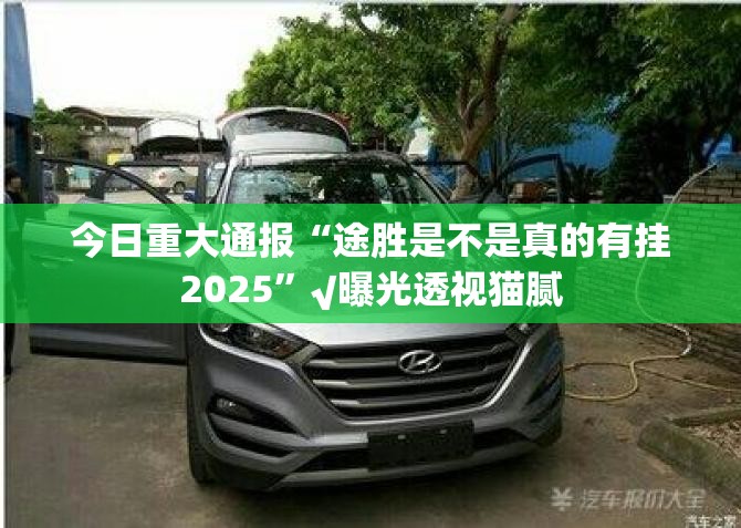 今日重大通报“途胜是不是真的有挂2025”√曝光透视猫腻
