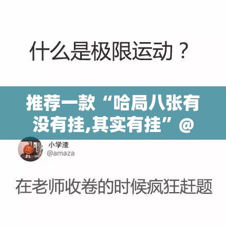 推荐一款“哈局八张有没有挂,其实有挂”@太坑了真的有挂