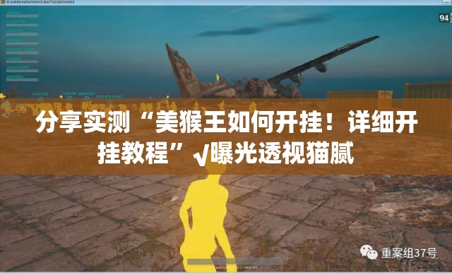 分享实测“美猴王如何开挂！详细开挂教程”√曝光透视猫腻