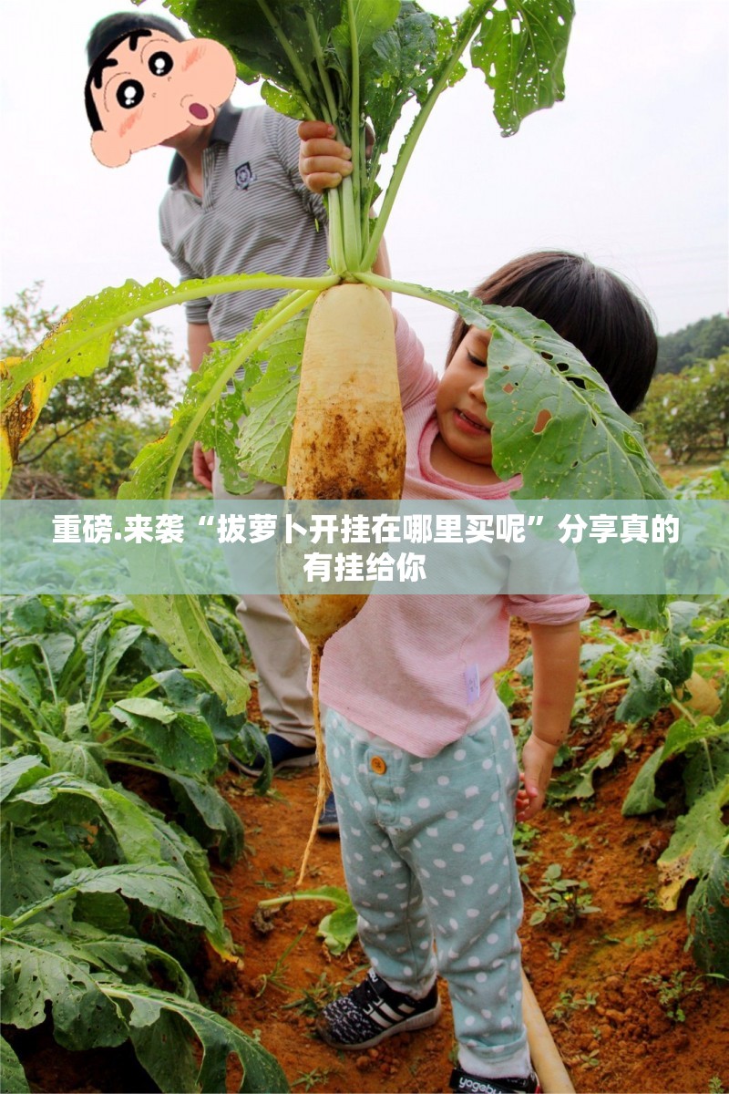重磅.来袭“拔萝卜开挂在哪里买呢”分享真的有挂给你