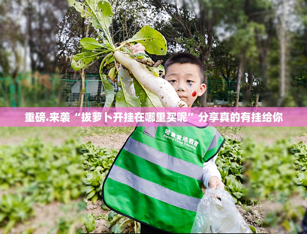 重磅.来袭“拔萝卜开挂在哪里买呢”分享真的有挂给你