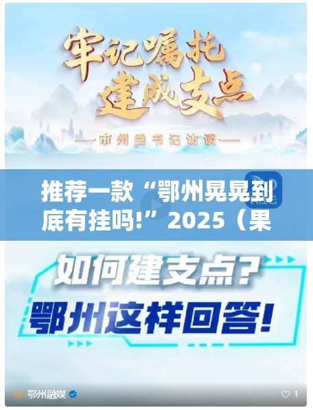 推荐一款“鄂州晃晃到底有挂吗!”2025（果然有挂）