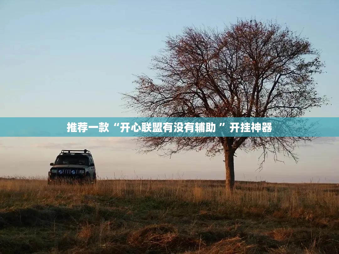 推荐一款“开心联盟有没有辅助 ”开挂神器