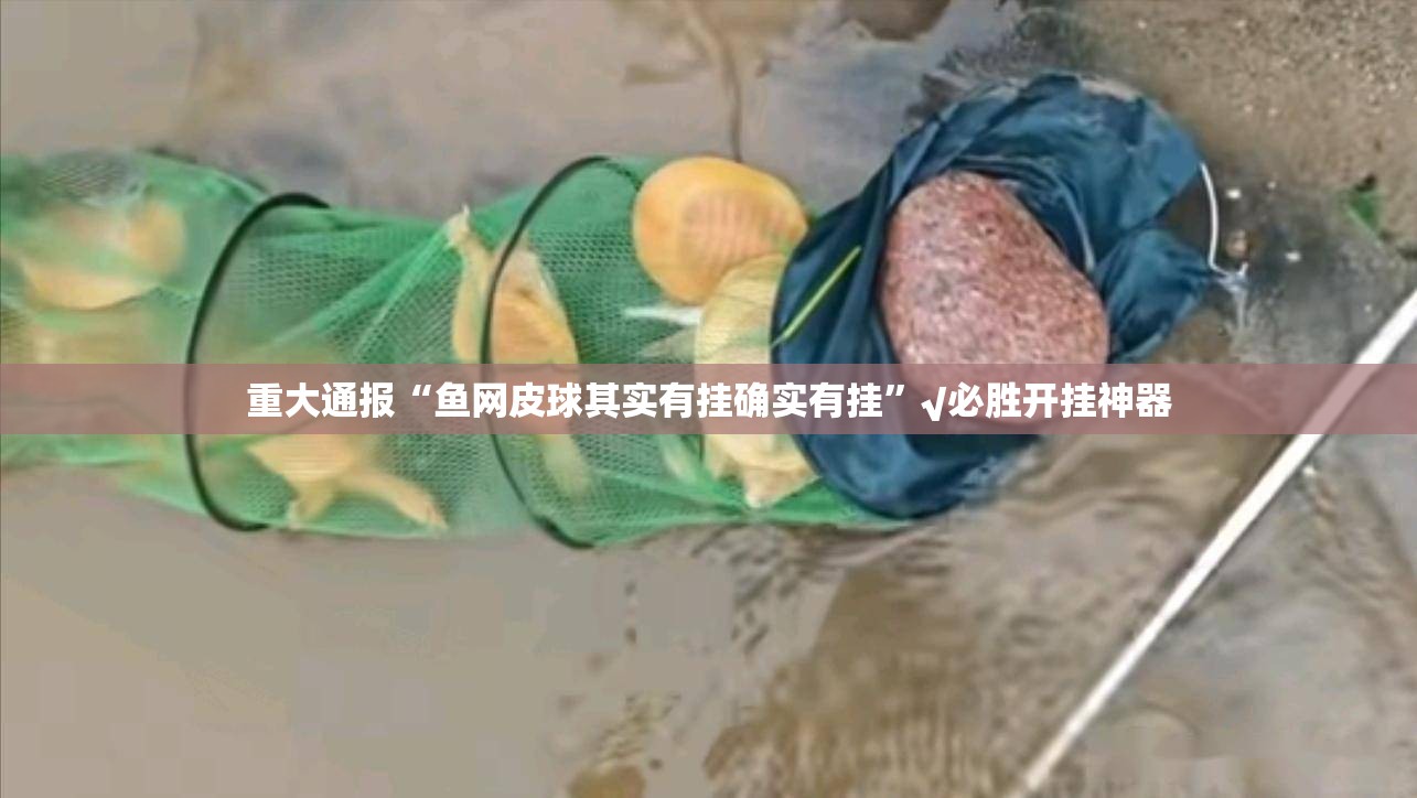 重大通报“鱼网皮球其实有挂确实有挂”√必胜开挂神器