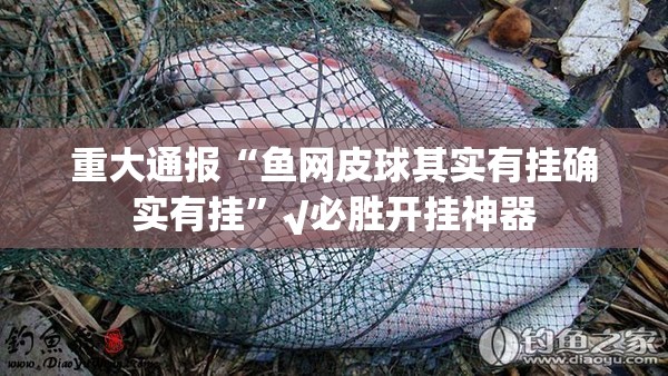 重大通报“鱼网皮球其实有挂确实有挂”√必胜开挂神器