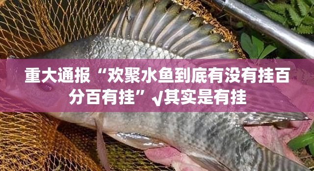 重大通报“欢聚水鱼到底有没有挂百分百有挂”√其实是有挂
