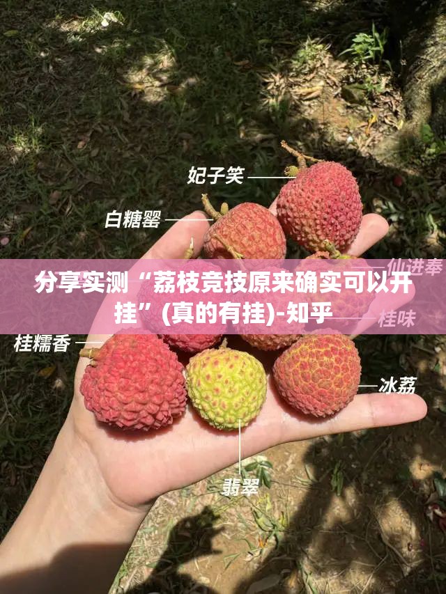 分享实测全民游戏确实有挂吗√必胜开挂神器