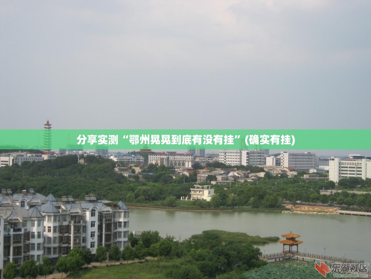 分享实测“鄂州晃晃到底有没有挂”(确实有挂)