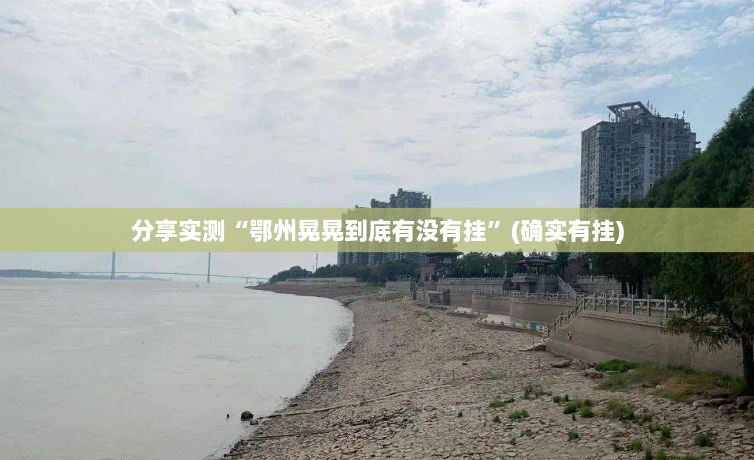 分享实测“鄂州晃晃到底有没有挂”(确实有挂)