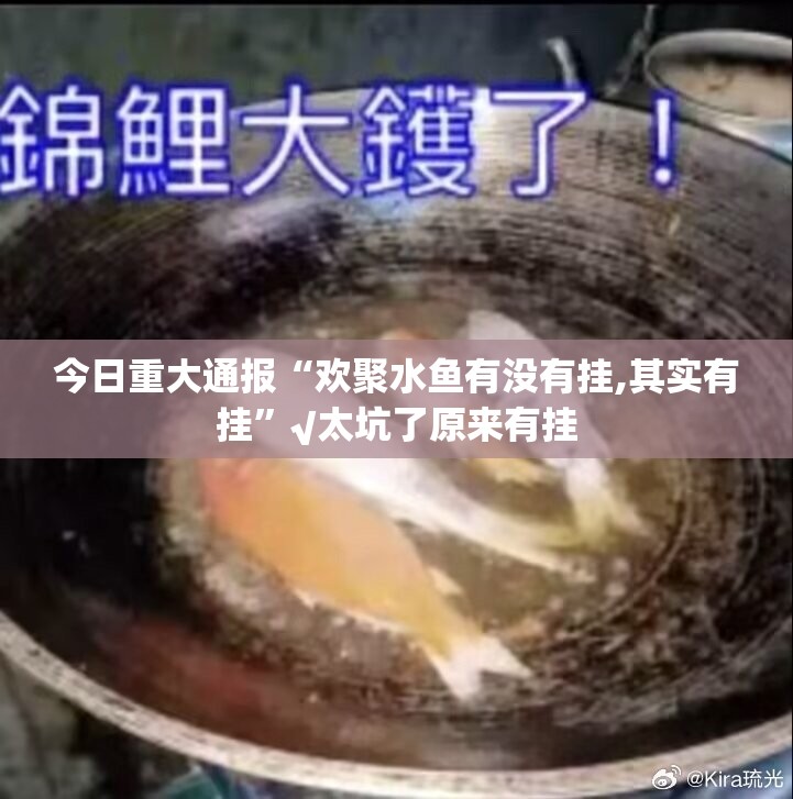 今日重大通报“欢聚水鱼有没有挂,其实有挂”√太坑了原来有挂