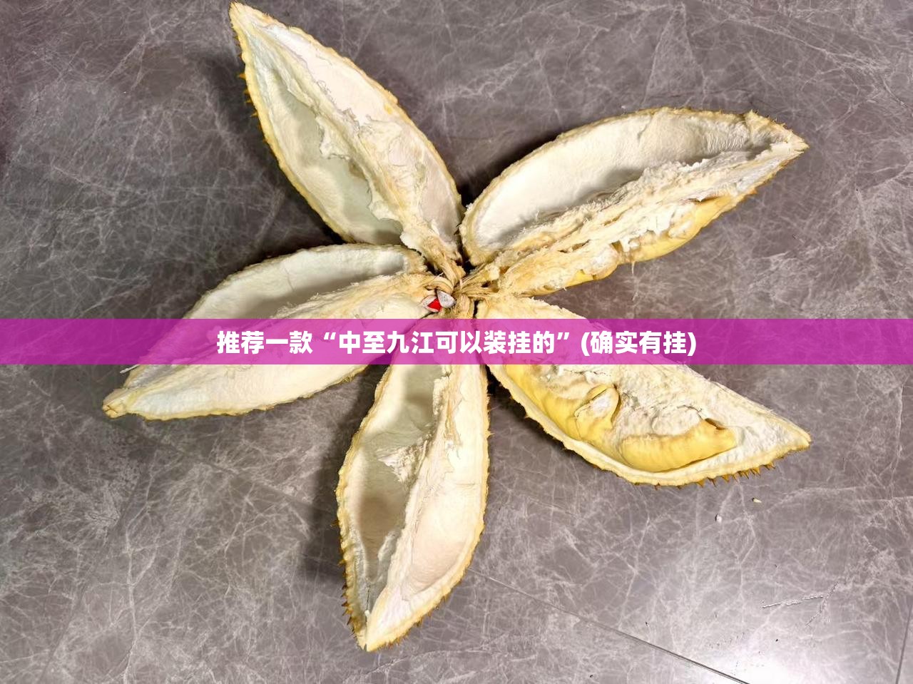 推荐一款“中至九江可以装挂的”(确实有挂)