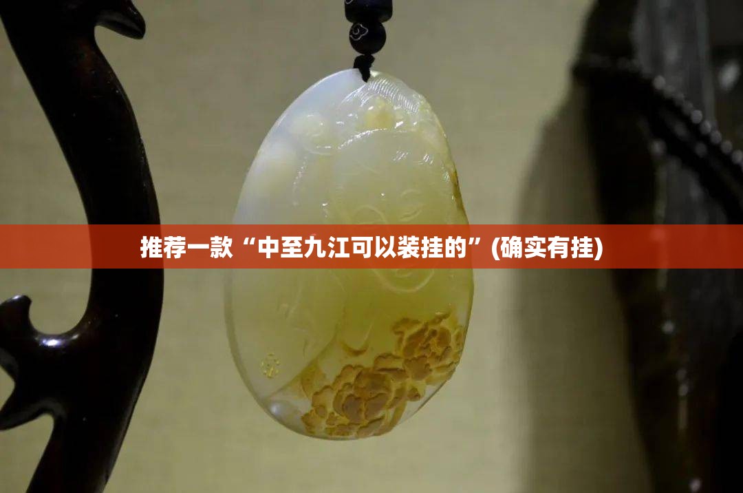 推荐一款“中至九江可以装挂的”(确实有挂)