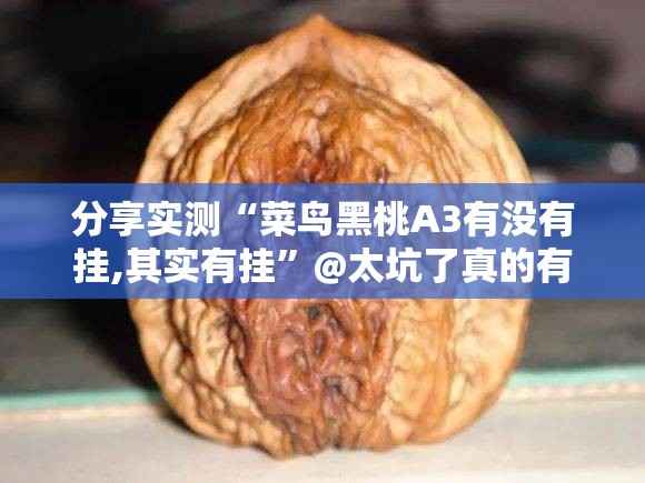 重磅.来袭招财猫开挂透视辅助软件@太坑了真的有挂 重磅.来袭招财猫开挂透视辅助软件@太坑了真的有挂