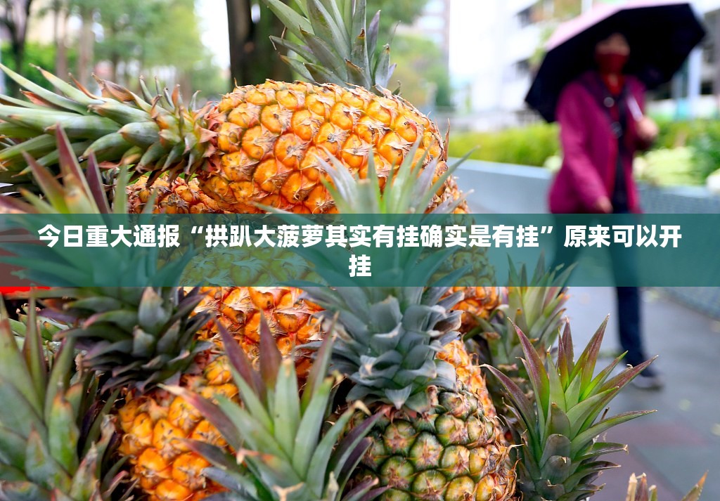 今日重大通报“拱趴大菠萝其实有挂确实是有挂”原来可以开挂