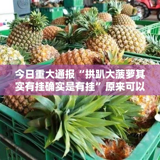今日重大通报“拱趴大菠萝其实有挂确实是有挂”原来可以开挂
