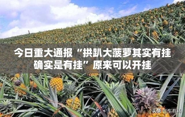 今日重大通报“拱趴大菠萝其实有挂确实是有挂”原来可以开挂