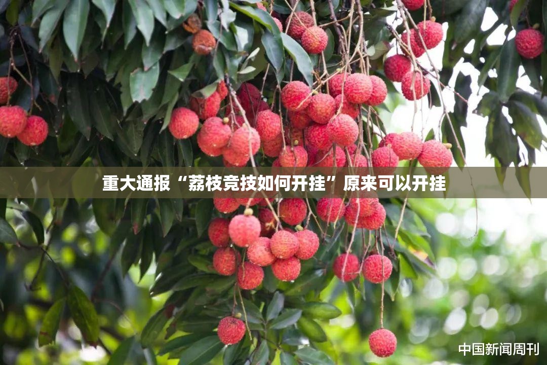 重大通报“荔枝竞技如何开挂”原来可以开挂