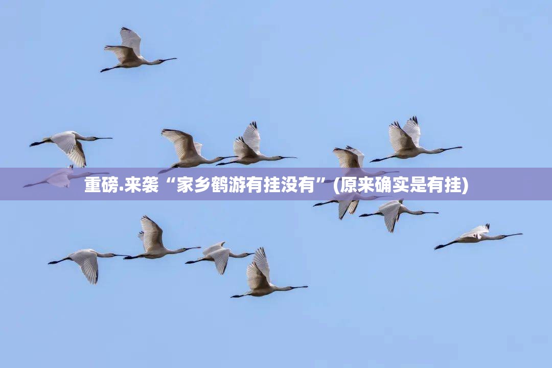 重磅.来袭“家乡鹤游有挂没有”(原来确实是有挂)