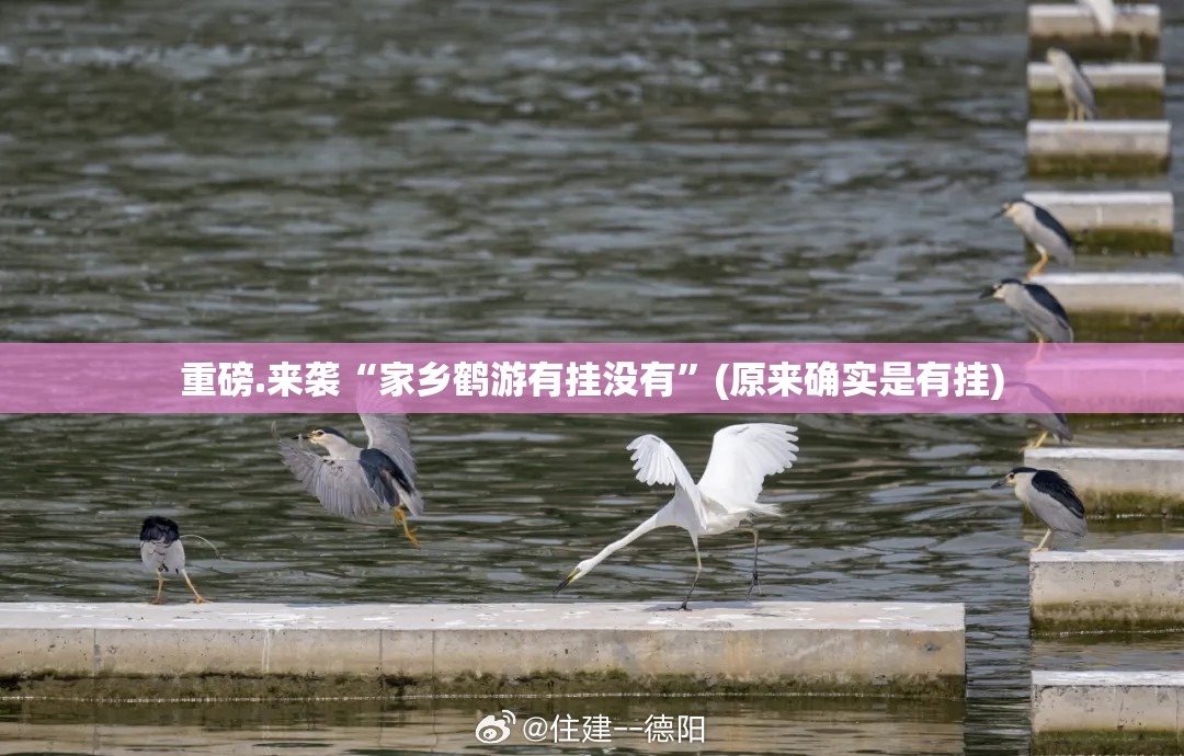 重磅.来袭“家乡鹤游有挂没有”(原来确实是有挂)