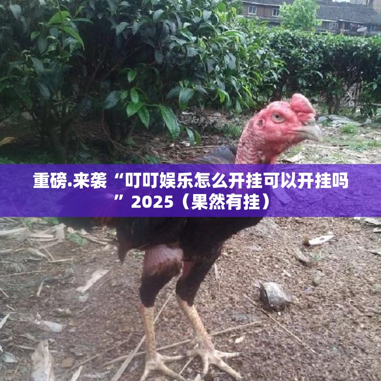分享实测纵横互娱果然有挂确实有挂√确实真的有挂