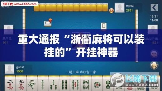 重大通报“浙衢麻将可以装挂的”开挂神器