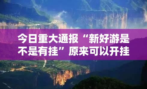 今日重大通报“新好游是不是有挂”原来可以开挂