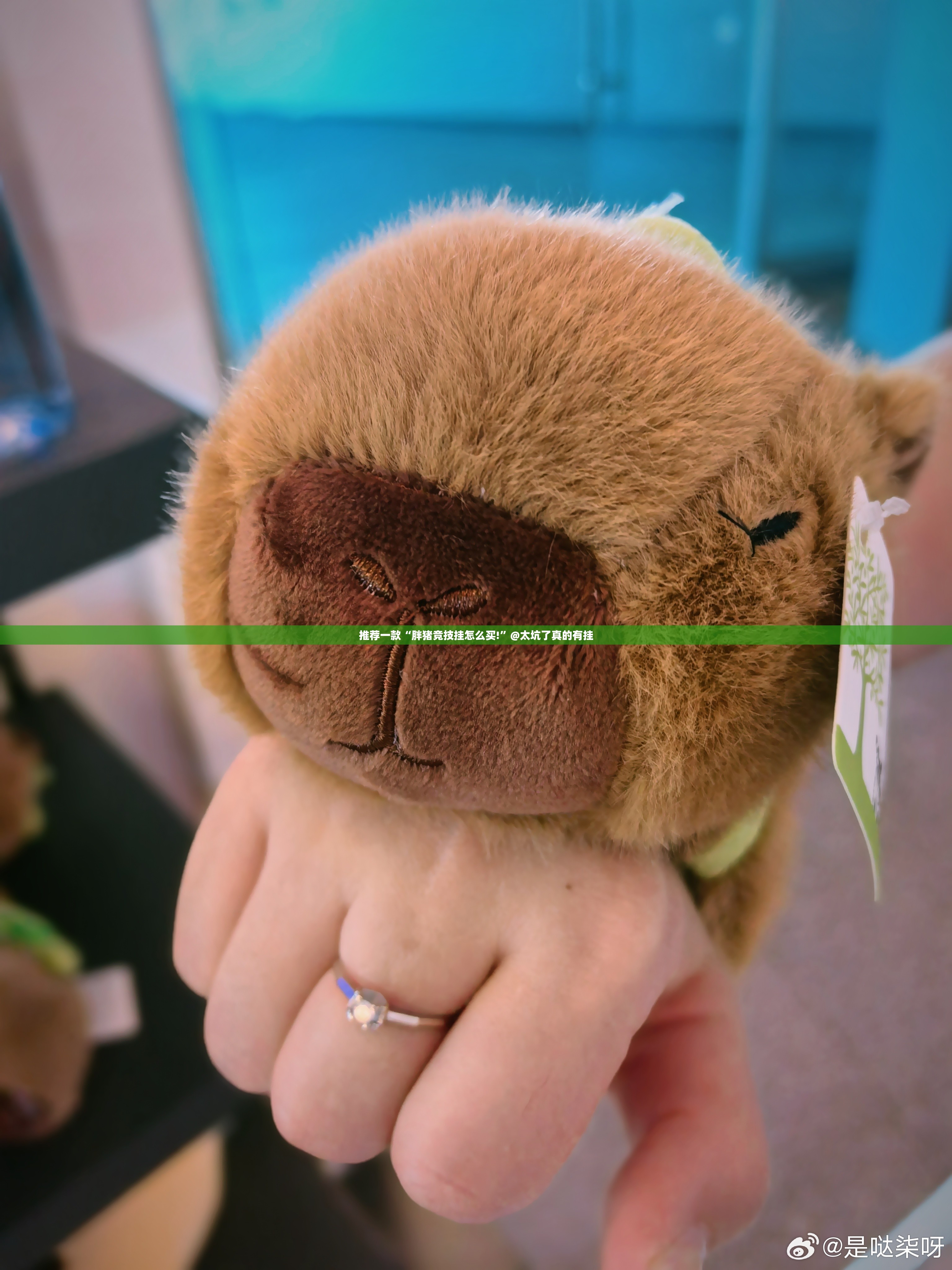 今日重大通报“金牛其实能开挂吗”@太坑了真的有挂 今日重大通报“金牛其实能开挂吗”@太坑了真的有挂