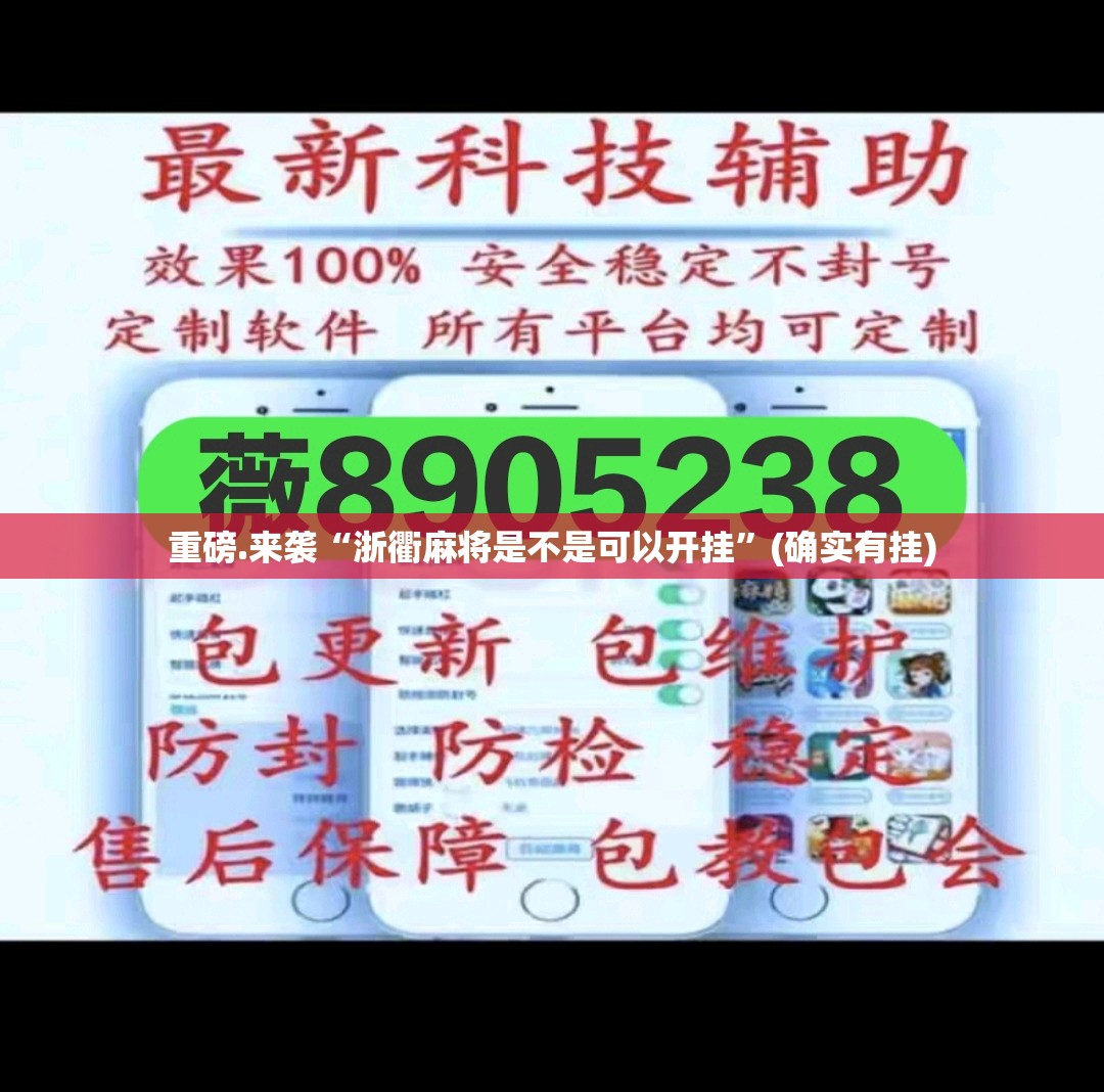 重磅.来袭“浙衢麻将是不是可以开挂”(确实有挂)