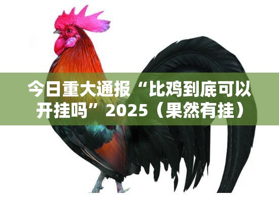 重磅.来袭九九联盟是不是有挂开挂神器